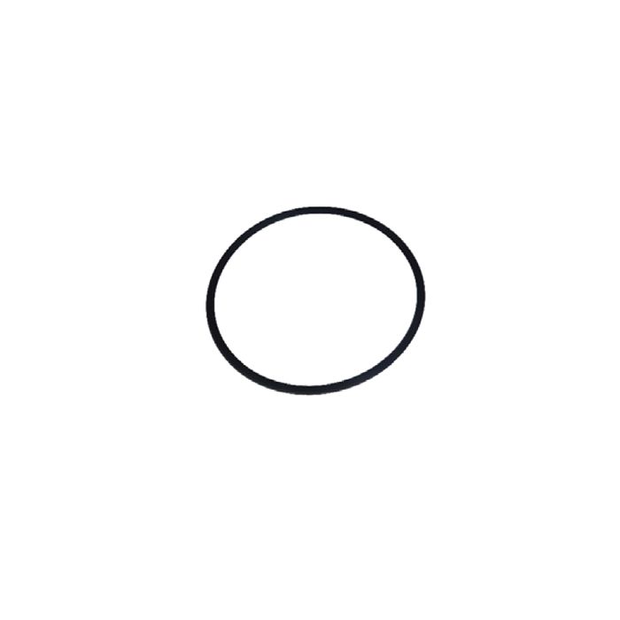 Sanica San100-San85-San74 Body O-ring  22310000031