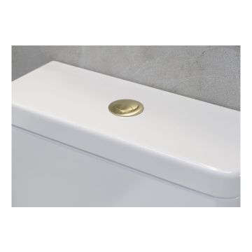 DUAL PUSH BUTTON COVER (CABLE) - BRASS