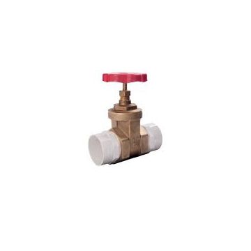50mm Isolating Valve for Sanicubic Pump (1109) 1109