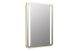 FRONTIER MIRROR 500 RECTANGLE LED BRASS