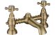 VeniceW BRUSH BRASS BATH FILLER