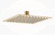 SQUARE 200MM SHOWER HEAD BRUSHED BRASS