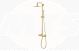 ZurichSHOWER COLUMN & THERMO MXR BRASS