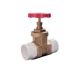 50mm Isolating Valve for Sanicubic Pump (1109) 1109